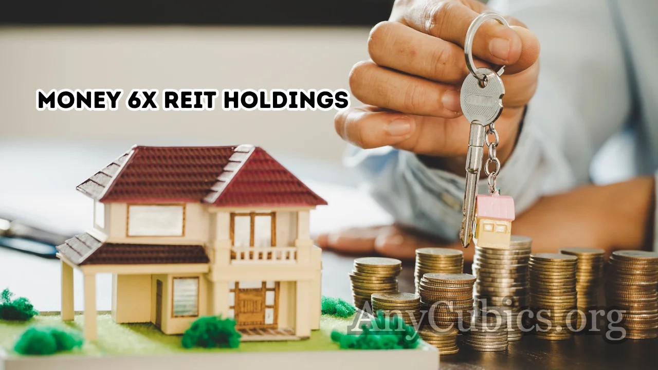 Money 6X REIT Holdings