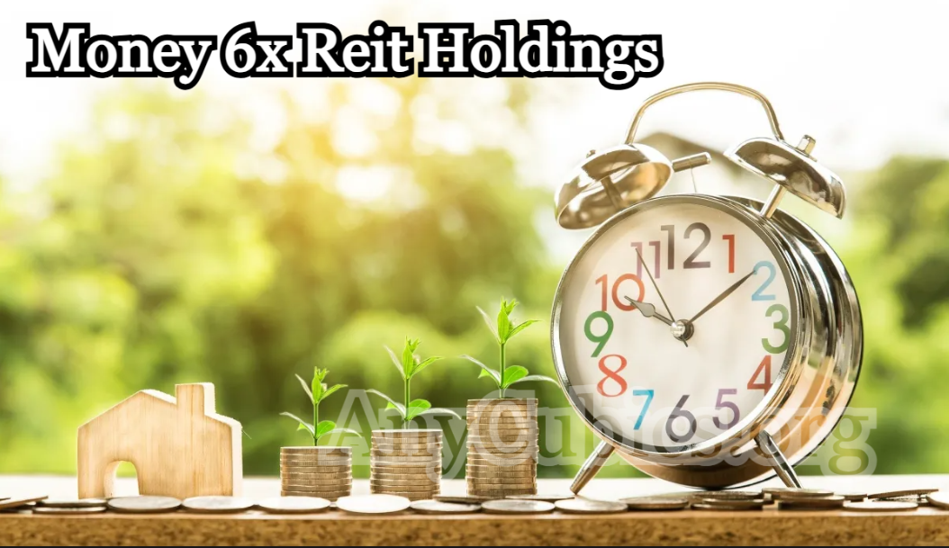 Money 6X REIT Holdings