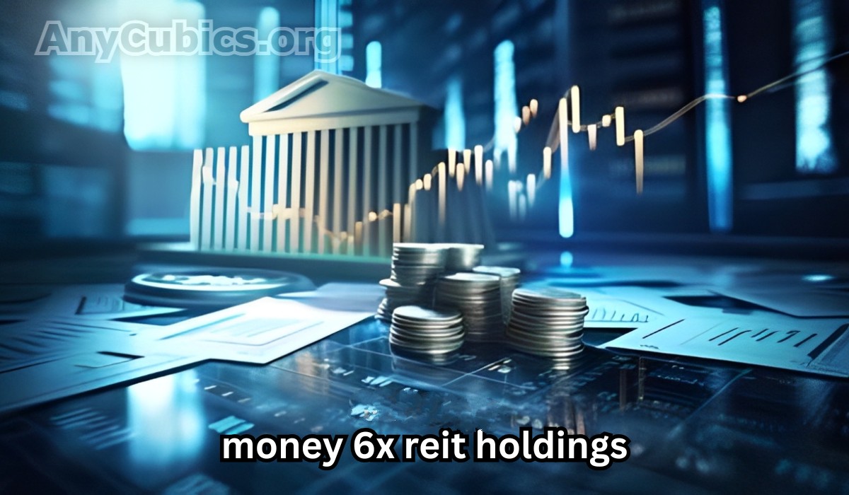 Money 6X REIT Holdings